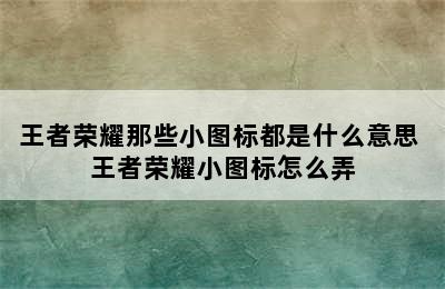 王者荣耀那些小图标都是什么意思 王者荣耀小图标怎么弄